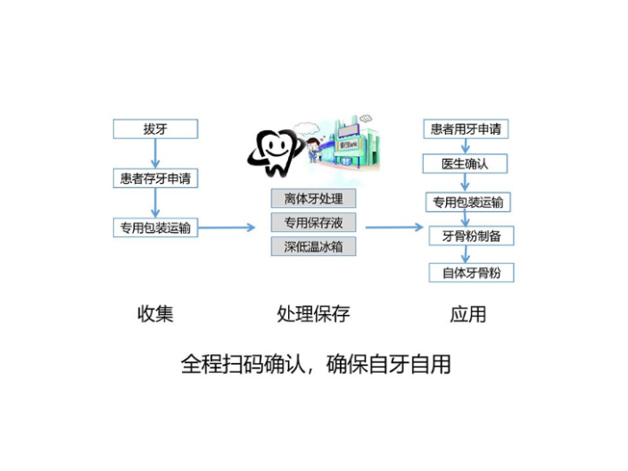 辽宁值得推荐的离体牙保存技术先进,离体牙保存