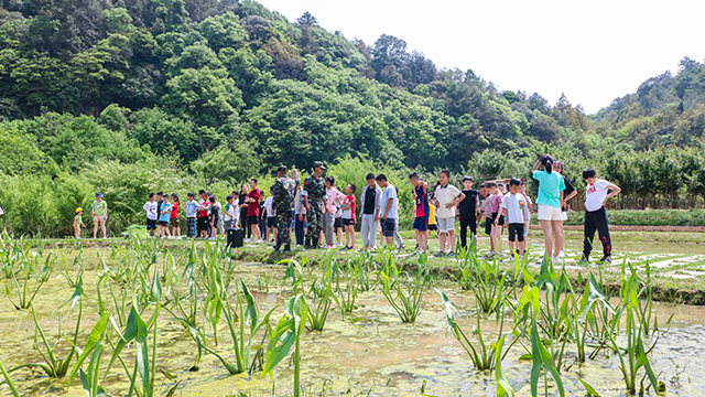 西山区专业团建基地地方,团建基地